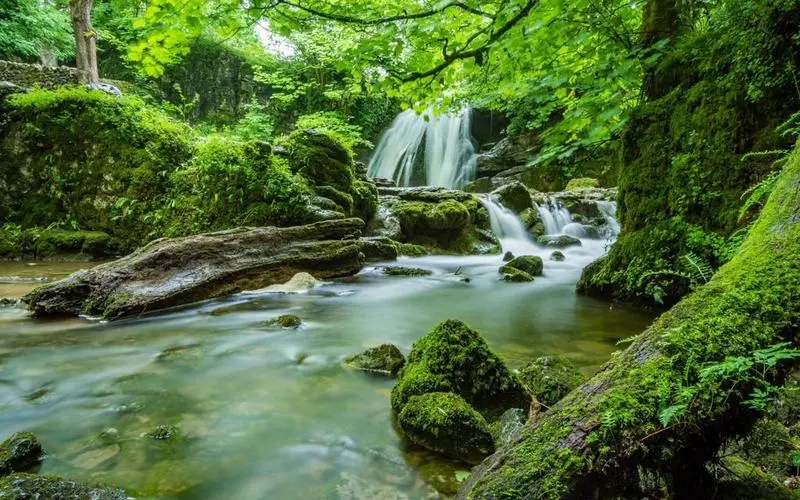 高标准稳定性智能